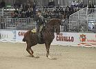 Burtini Moreno